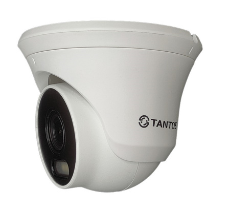 TSi-Beco55FP IP видеокамера уличная купольная с ИК подсветкой Фото