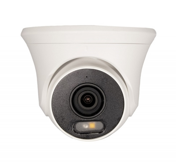 TSi-Beco55FP IP видеокамера уличная купольная с ИК подсветкой Фото