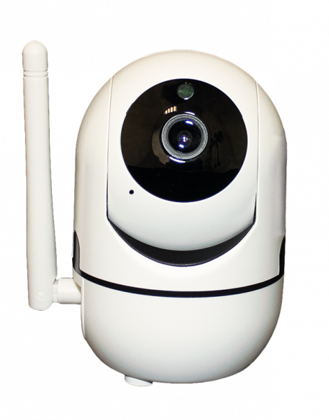 iРотор видеокамера Wi-Fi купольная наклонно-поворотная с ИК подсветкой Фото