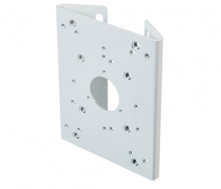 RVi-1BPM-2 white кронштейн для крепления на столб Фото