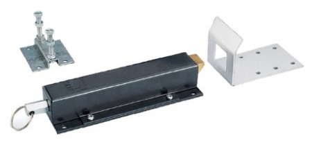 E881 - Электрозамок Фото