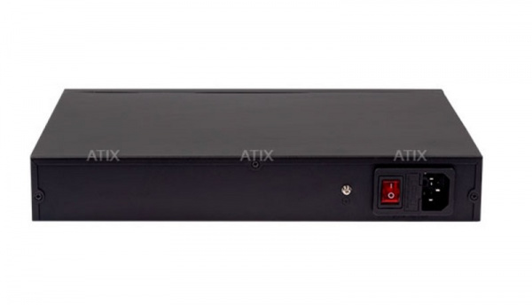 AT-NS-24P2G-250 (B) 24 портовый РoЕ коммутатор неуправляемый Фото