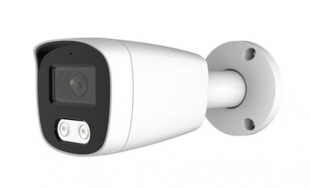 AltCam ICF25IR Уличная 2,0Мп IP видеокамера Фото