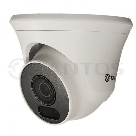 TSi-Ee50FP миниатюрная купольная уличная антивандальная камера с ИК подсветкой и аналитикой Фото