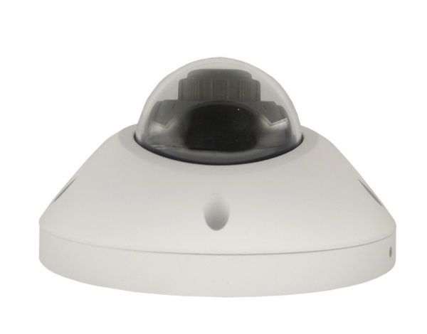 ST–PK2590 PRO STARLIGHT (2,8mm) 2 MP Уличная IP-камера с ИК подсветкой до 30 м Фото